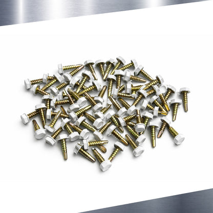 3/4" Self-Drilling Screws – Pack of 100